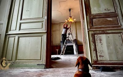 Reviving the Chateau: A Journey of Restoration and Transformation